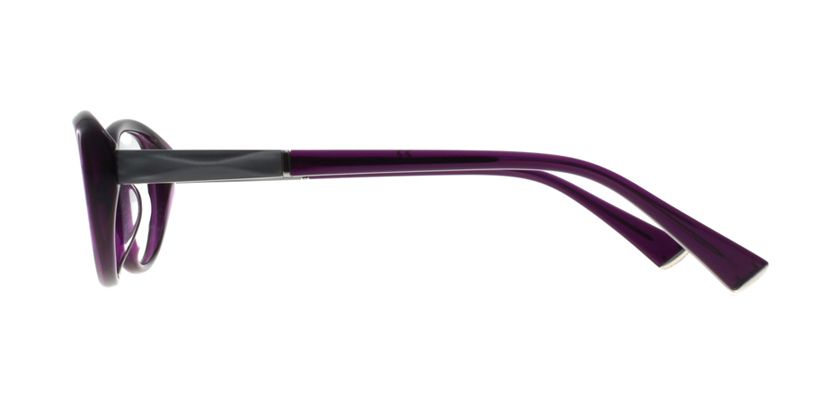 Anson Benson MT2453F0901 Eyeglasses - Side View
